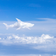 Illustration for article titled Pilot Informs Passengers They Will Be Rerouting To Avoid Scary Cloud That Looks Like Sharkem/em